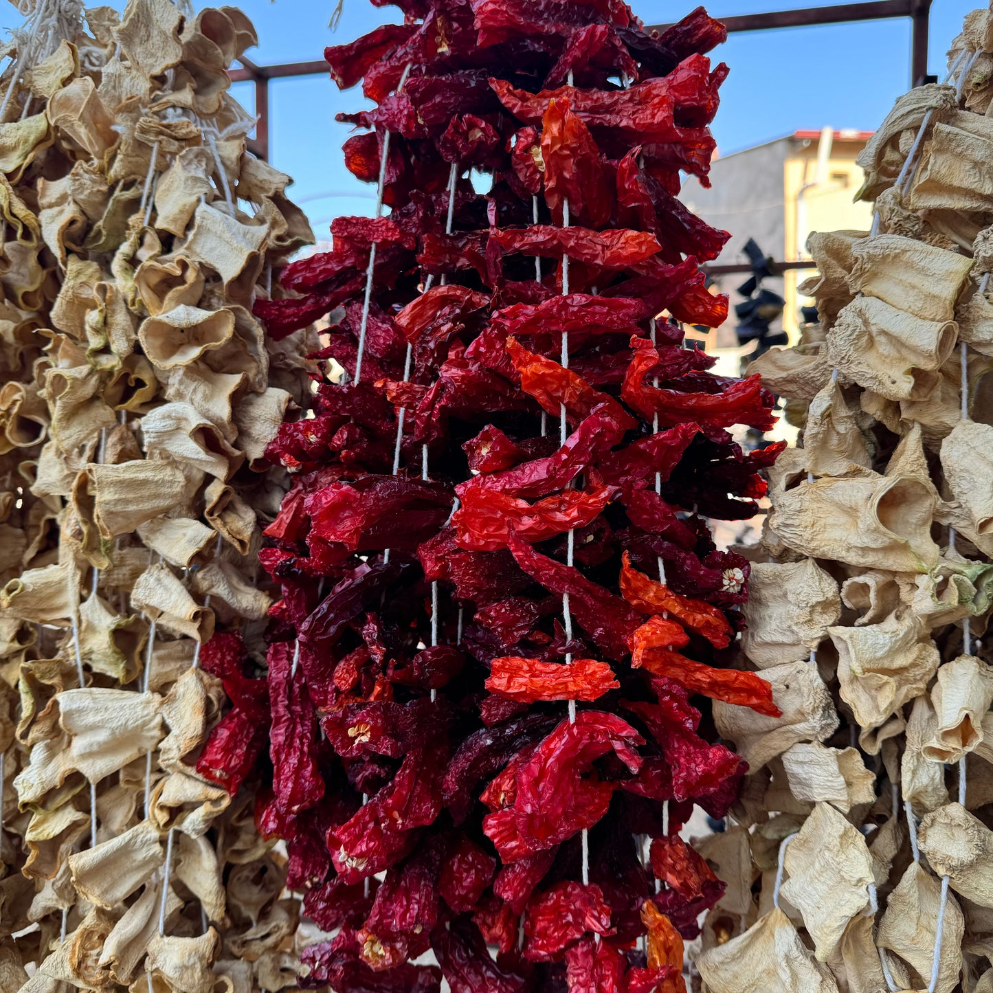 Dolmalık Kurutulmuş Kapya Biber 20-25 adet