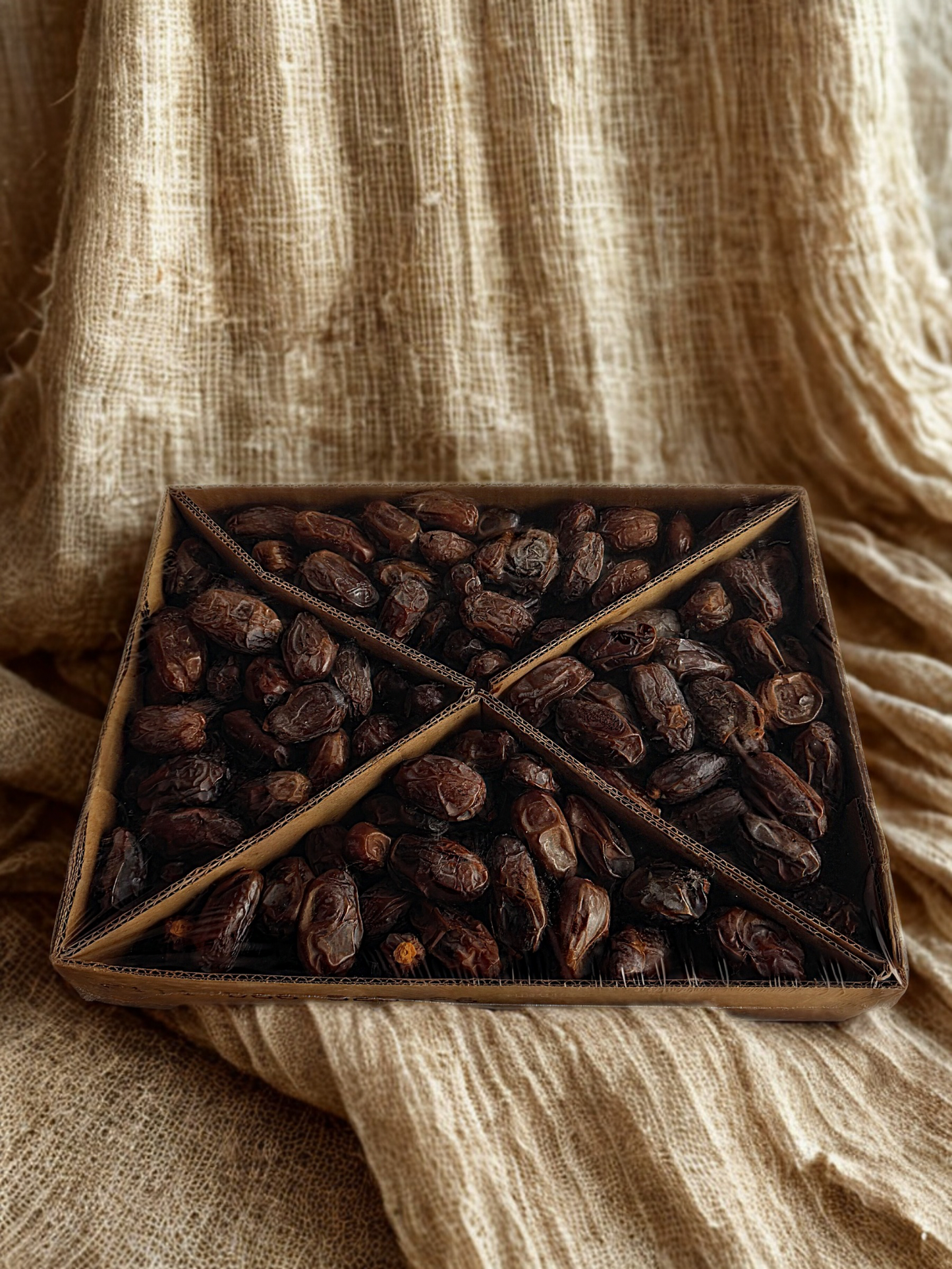 Medjool-Datteln - 5 kg (Palästina) NEUE ERNTE 2025/26 A-QUALITÄT