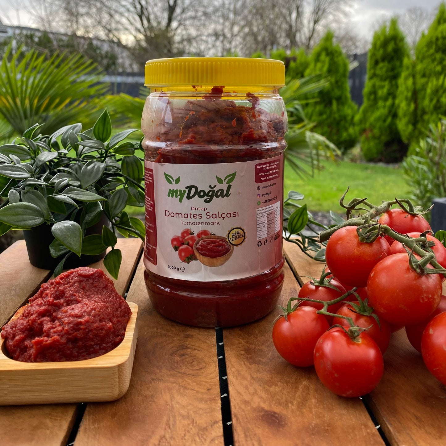 Tomatenmark - Antep - 1 kg