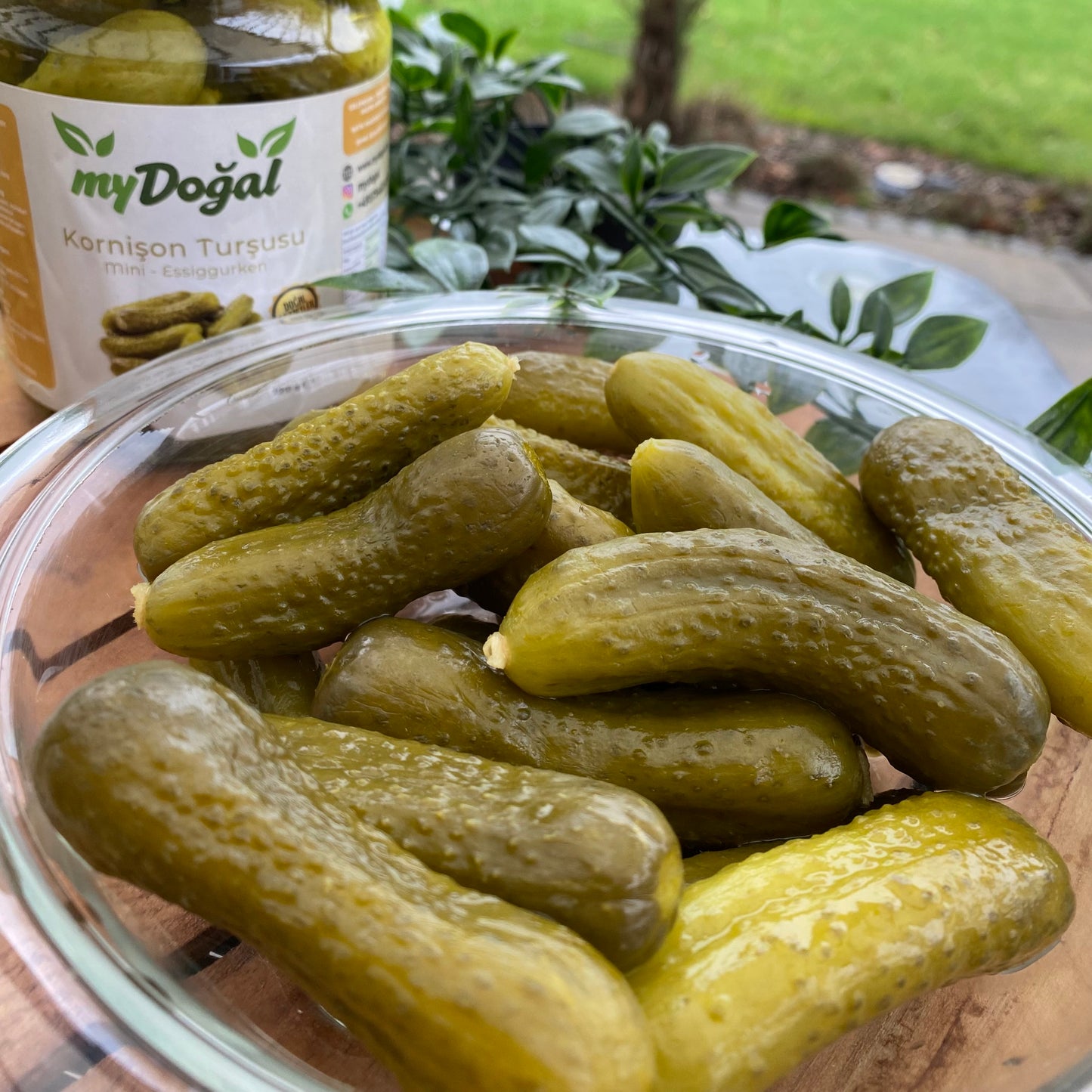 Salatalık Turşusu - 750g