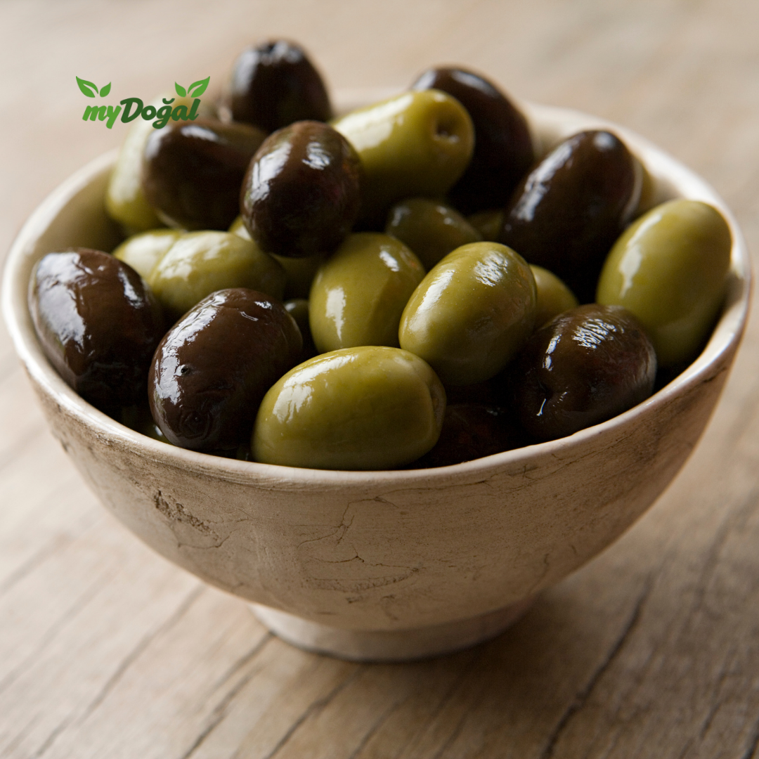 Zeytin - Oliven