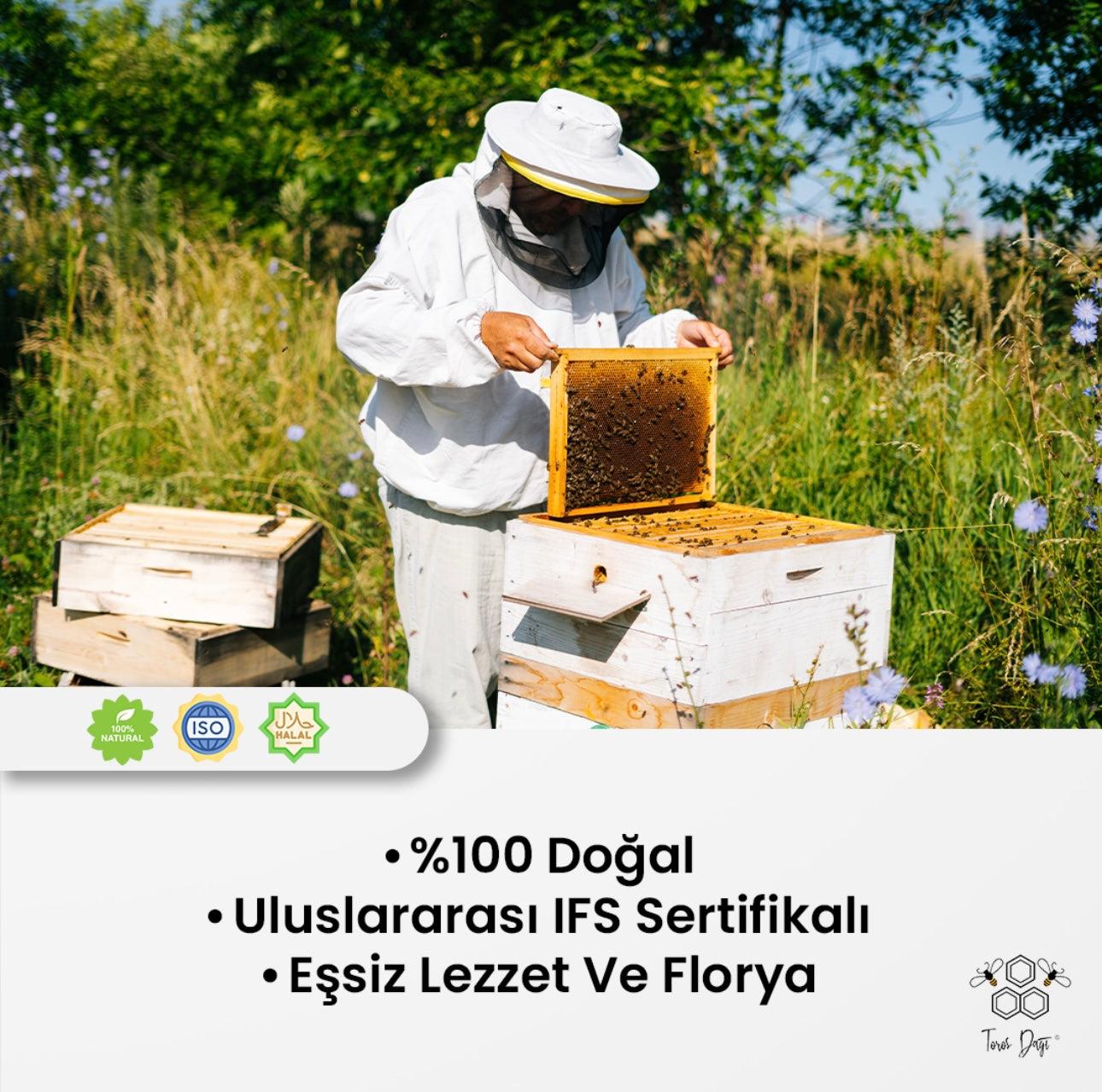 Toros Dağı Arı Sütü - Polen - Propolis - Çilek Tozu - Bal Çocuk Karışımı 225 gr