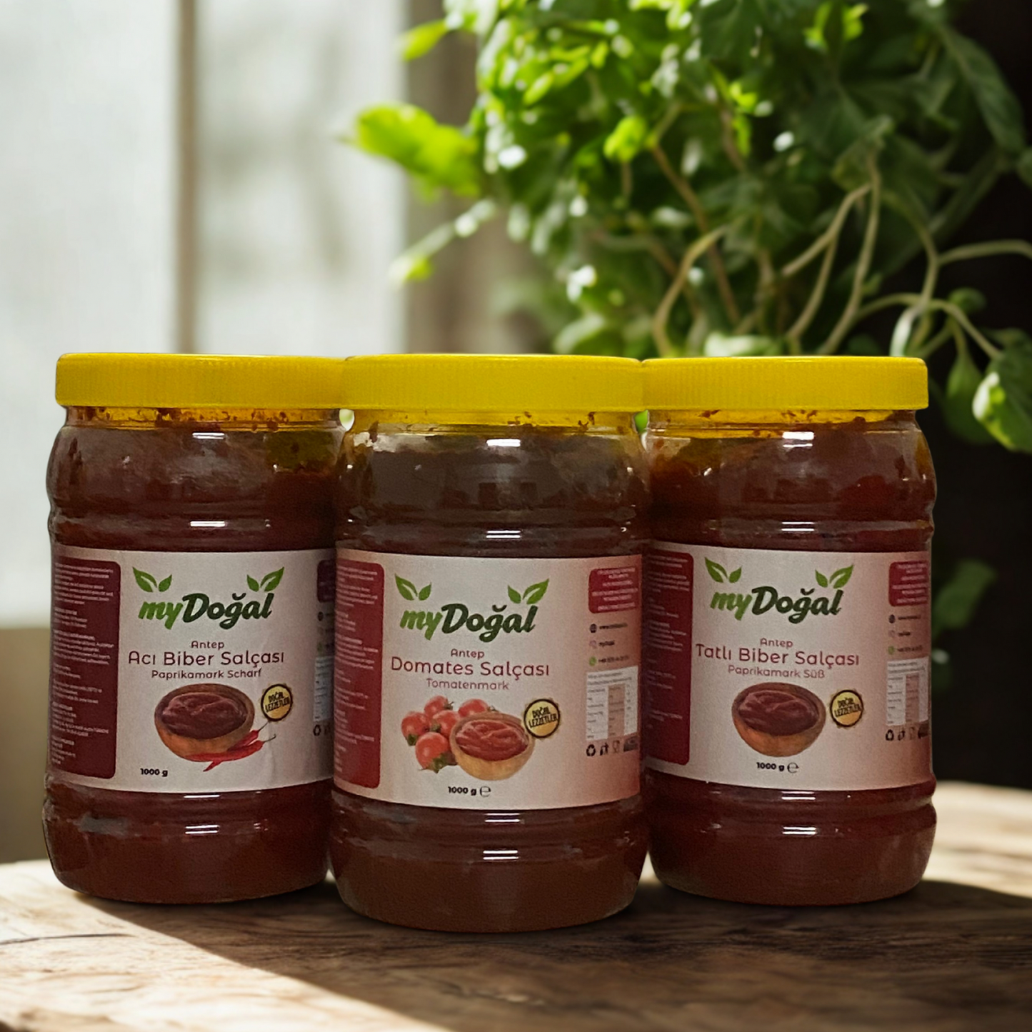 Paste-Aktionsangebot